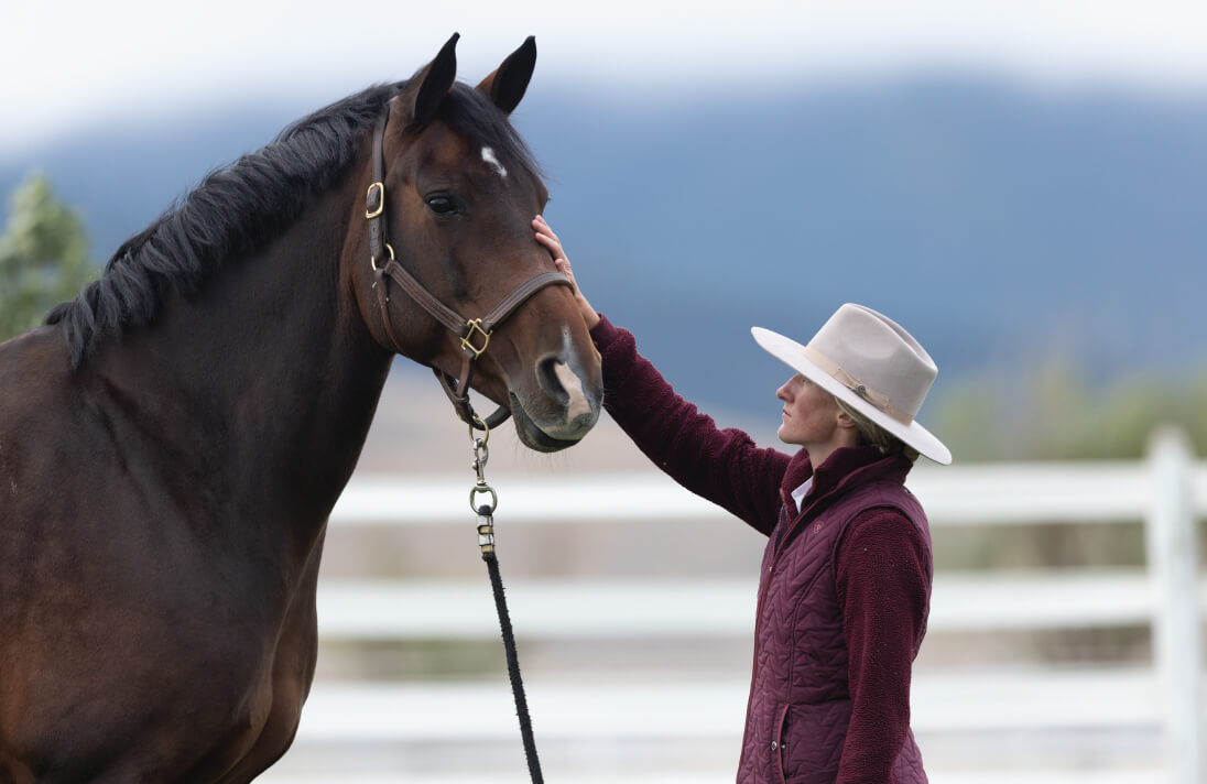 Women with a hat on petting a horse with a white fence in the background