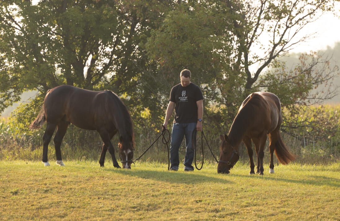Man standing in a field holding a lead with a horse on each side of him