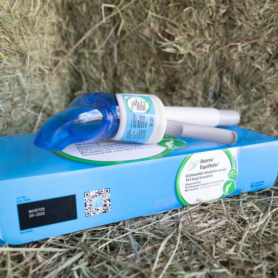Close up of a blue aservo box sitting on a hay stack