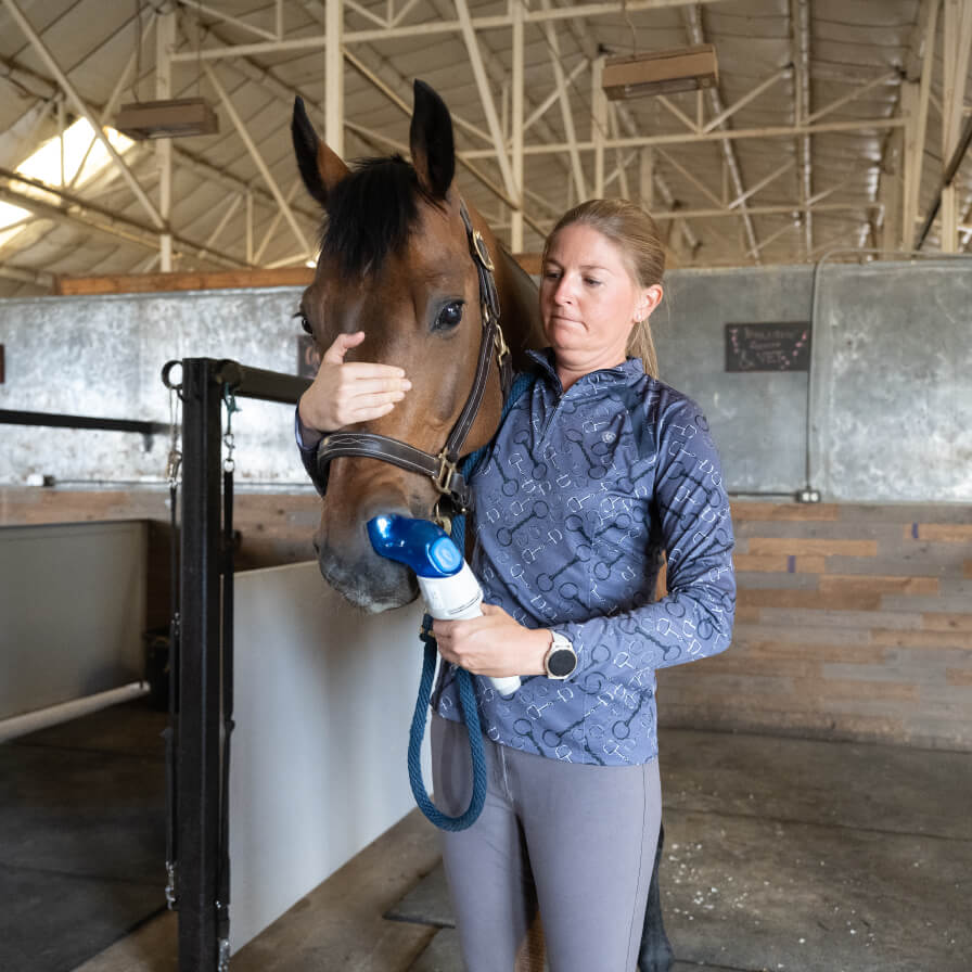 Vet using the Aservo Equihaler on a brown horse in a barn