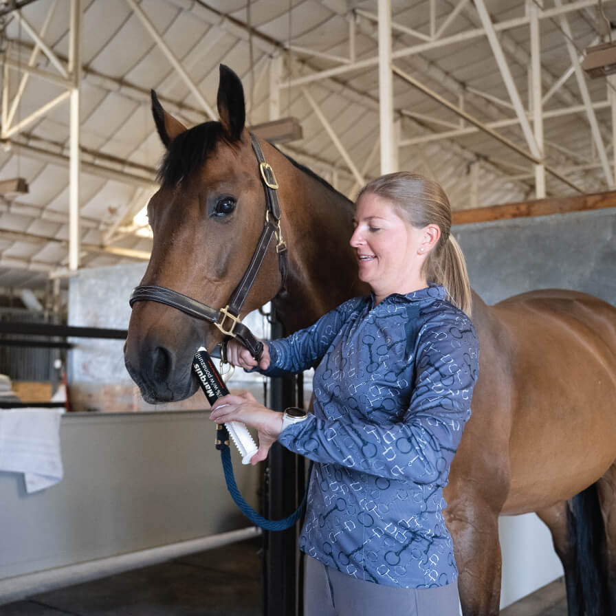 Vet giving a horse an oral injection of Marquis