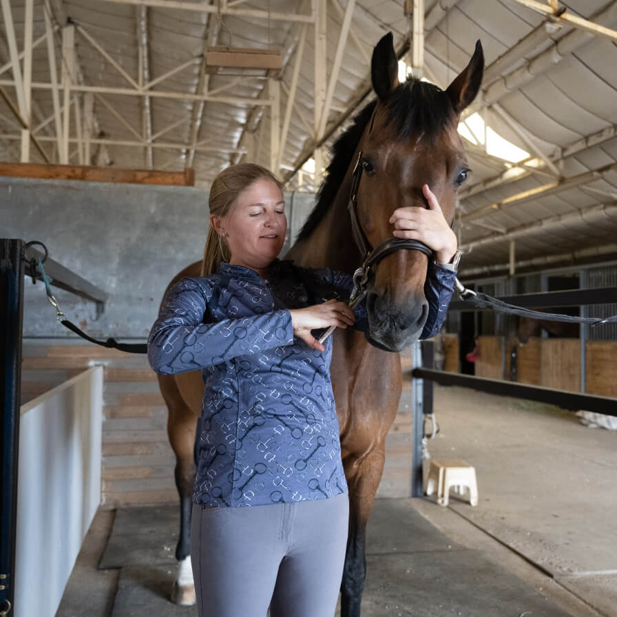 A vet giving a brown horse an oral injection