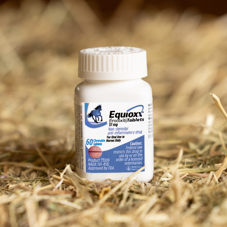 Equioxx (firocoxib) 57 mg chewable tablets for horses, in a white bottle on a bed of hay.