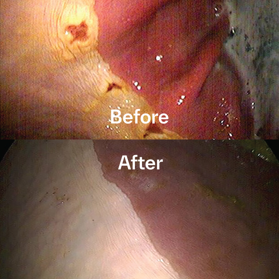 Before and after images showing healing of gastric ulcers in a horse treated with GASTROGARD.