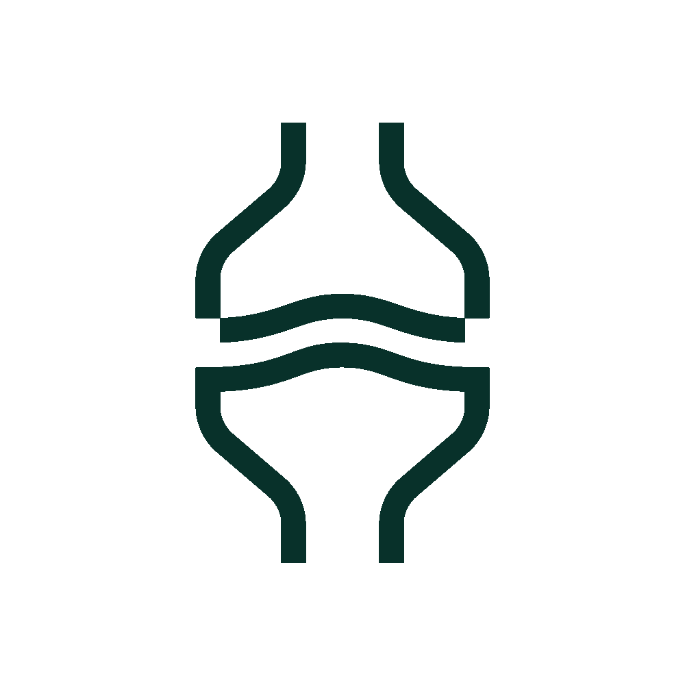 icon to represent joint health in horses