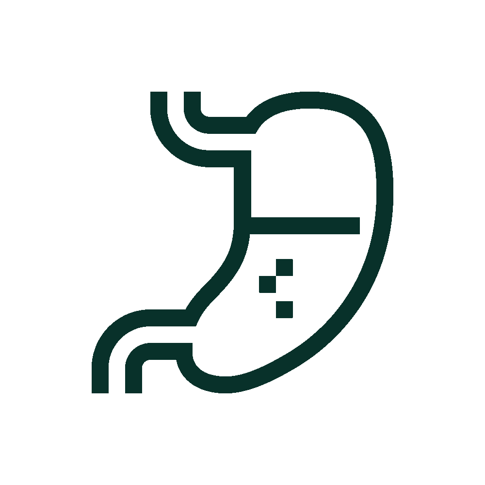 Gastric health for horses icon