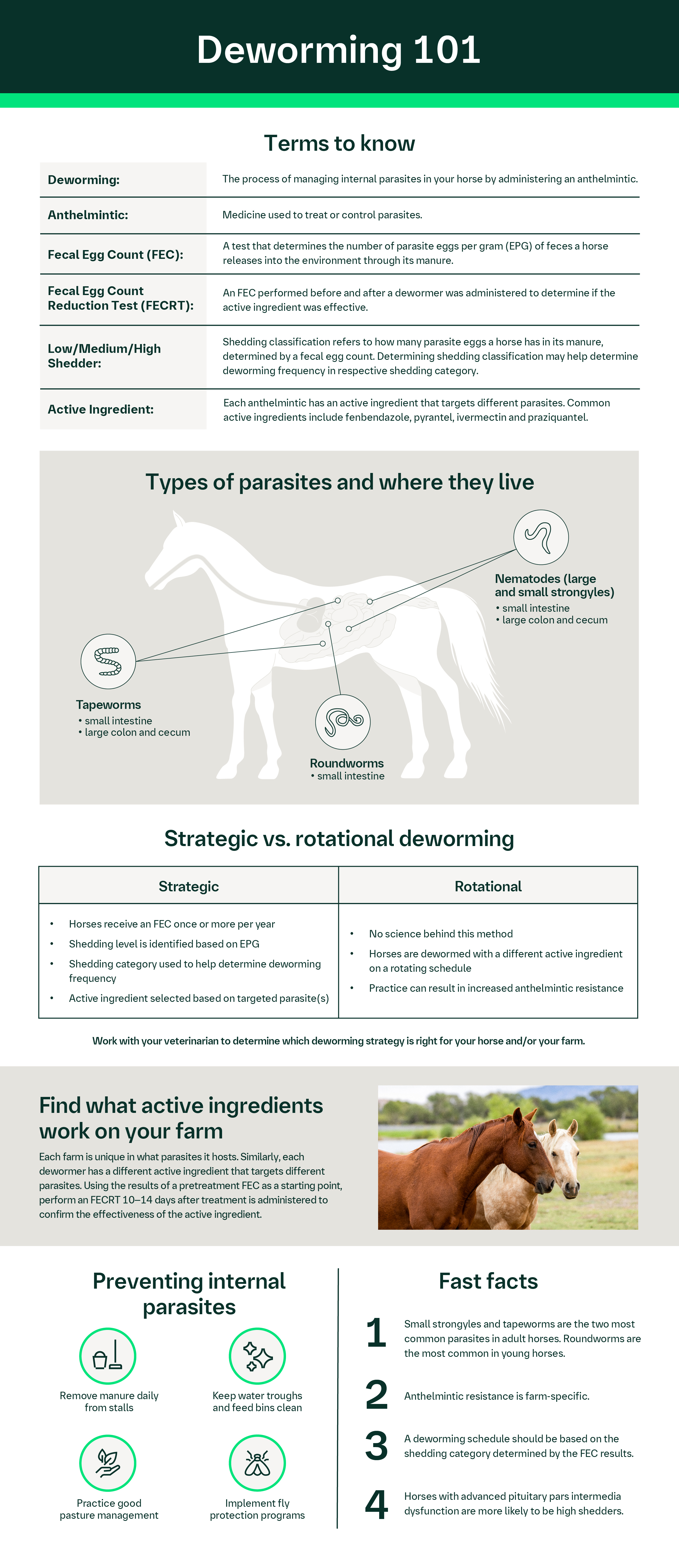 Deworming 101 chart and infographic