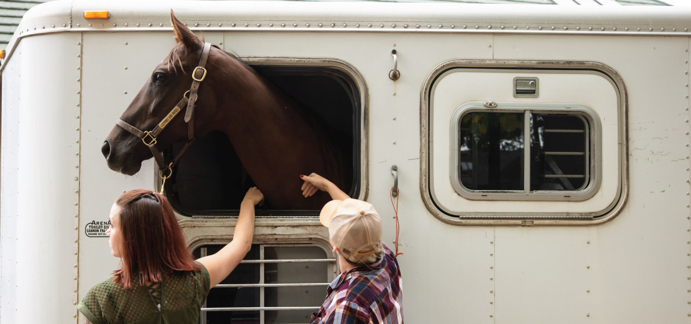 Two people reaching into a trailer and petting a horse whose head is sticking out