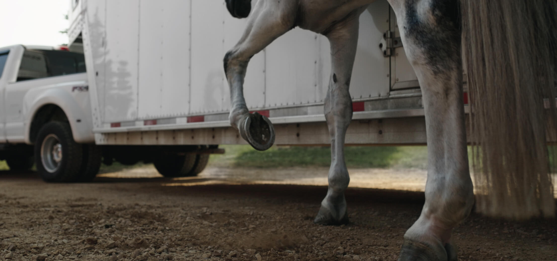 Close up of a horses legs walking next to a trailer