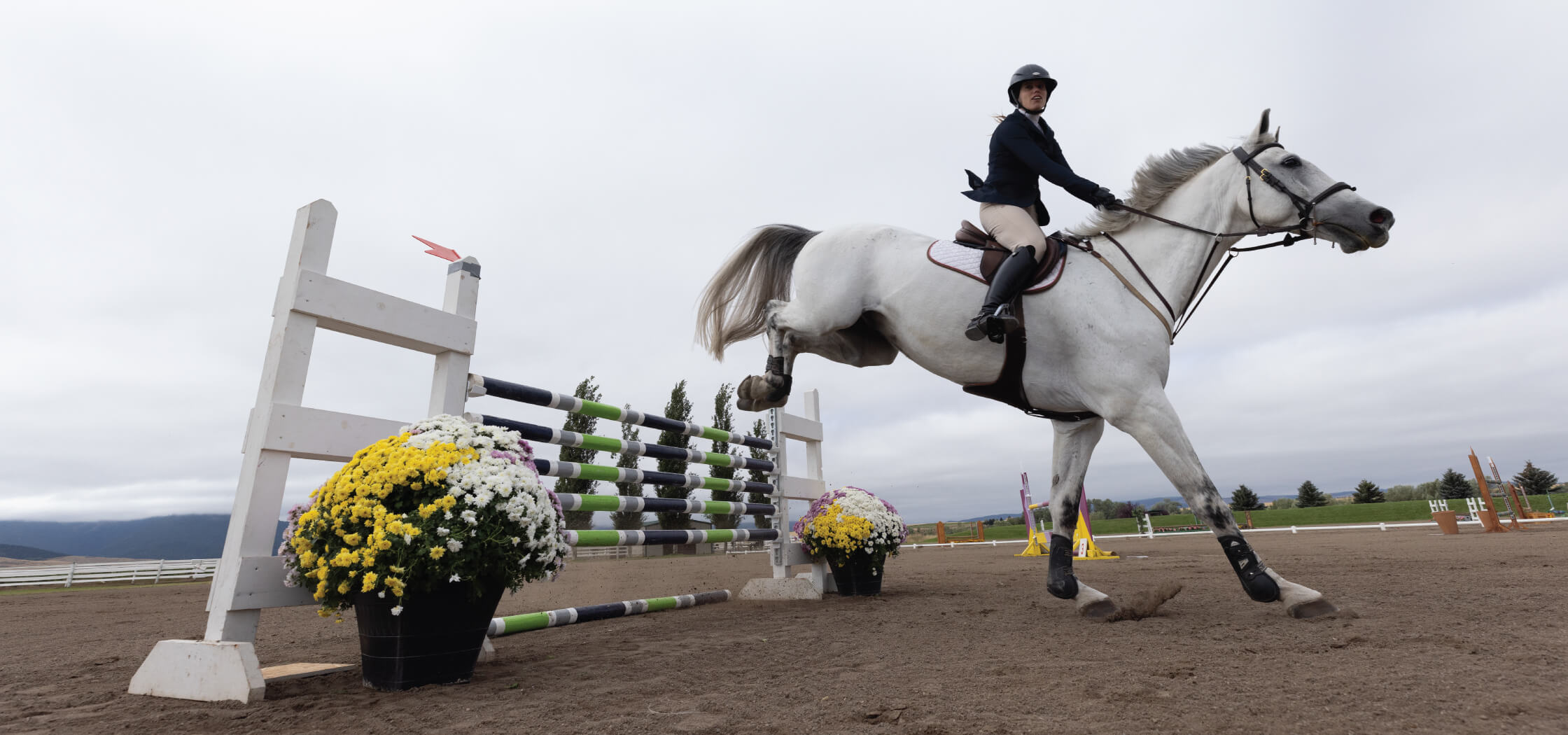 White horse with a rider jumps over a fence