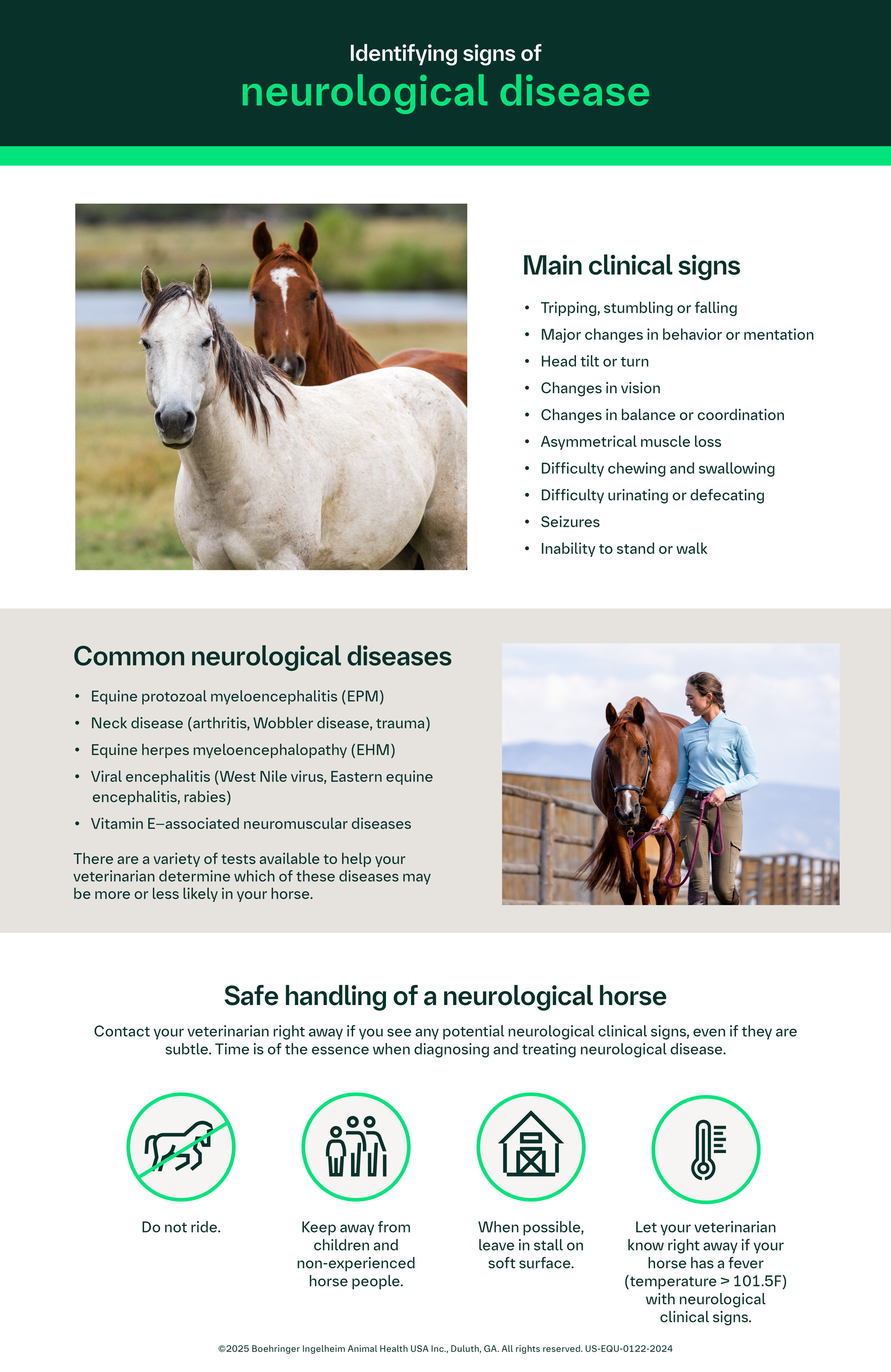 https://docs.boehringer-ingelheim.com/SignsOfNeurological-PRINT-Infographic-LF.pdf
