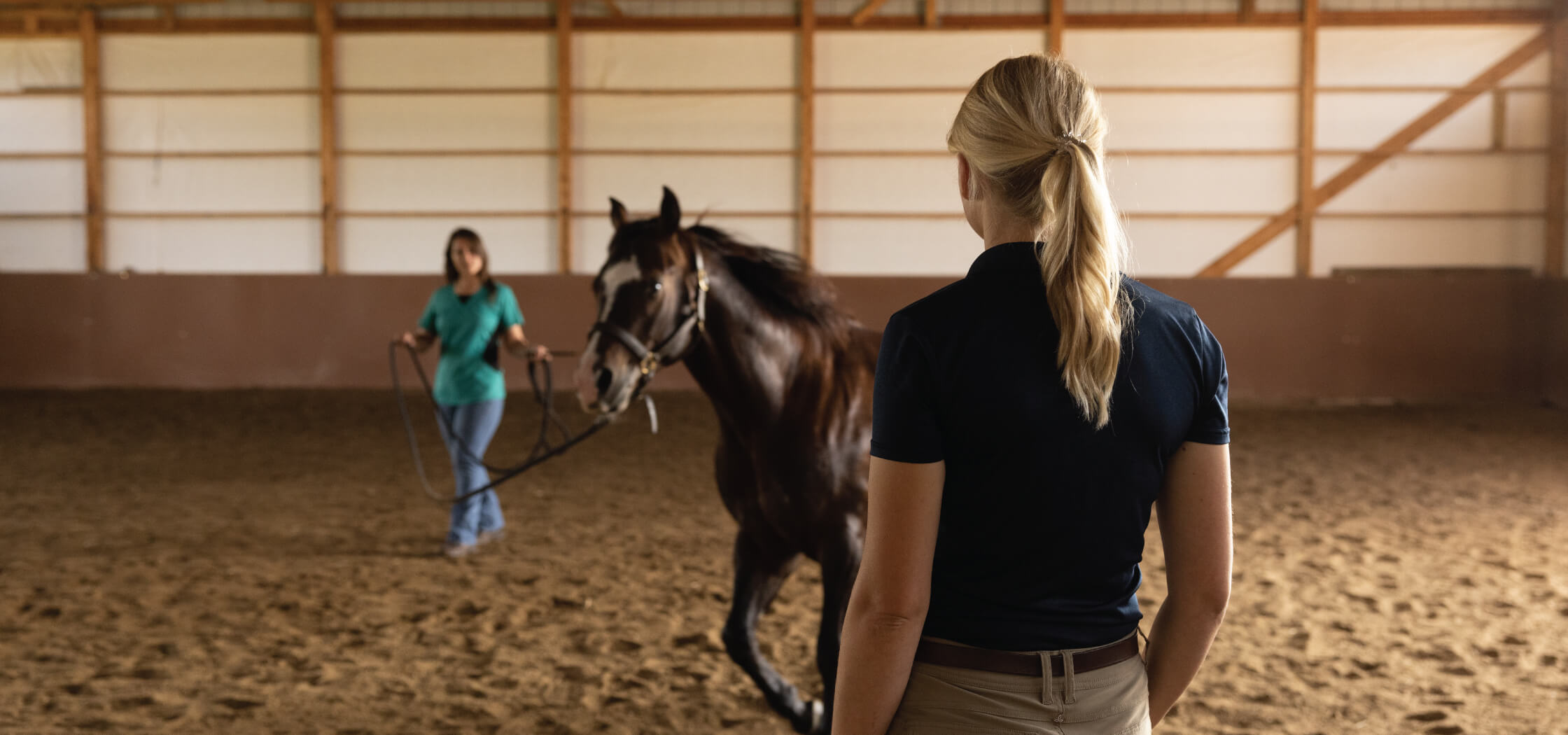 A veterinarian watching a women lead a dark brown horse in a barn