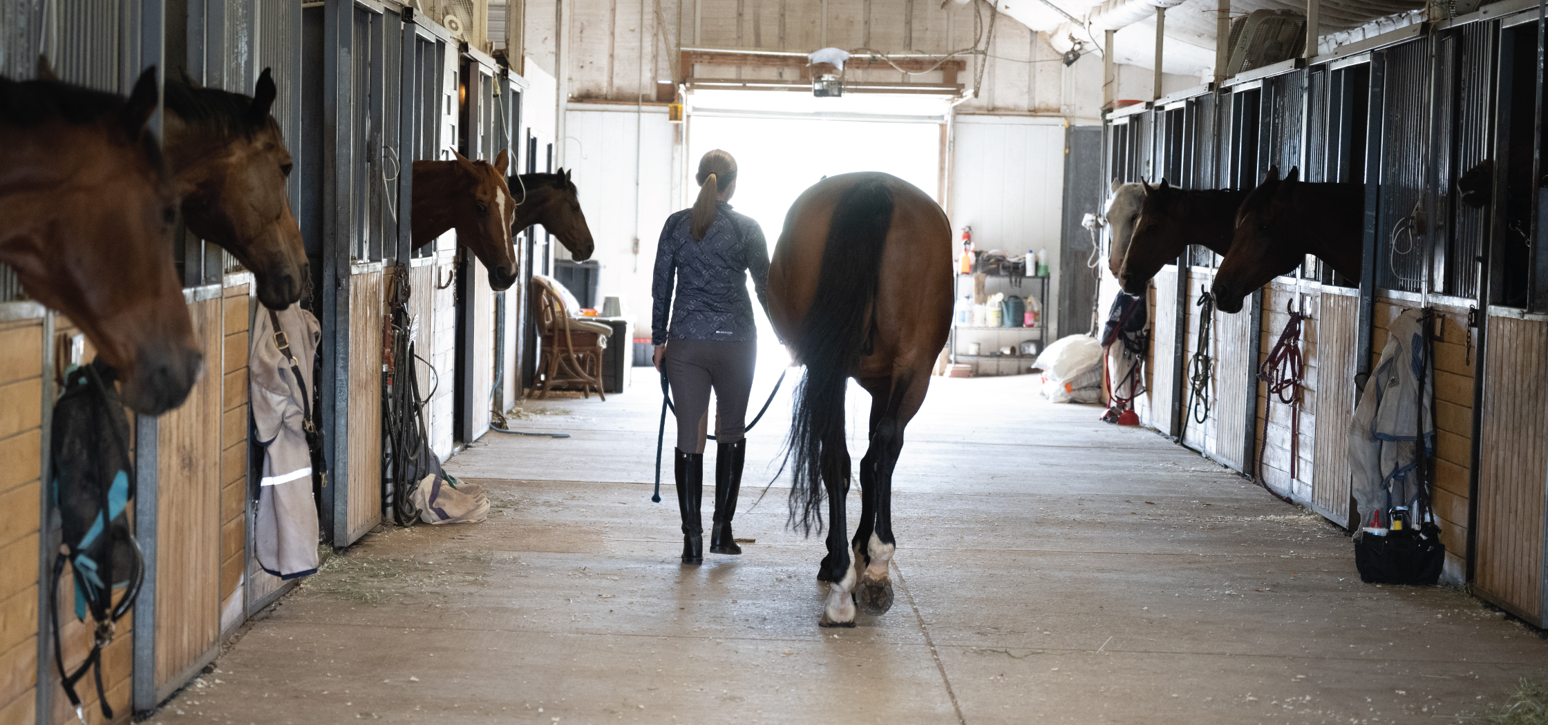Women walking through barn past horses in stall with a horse