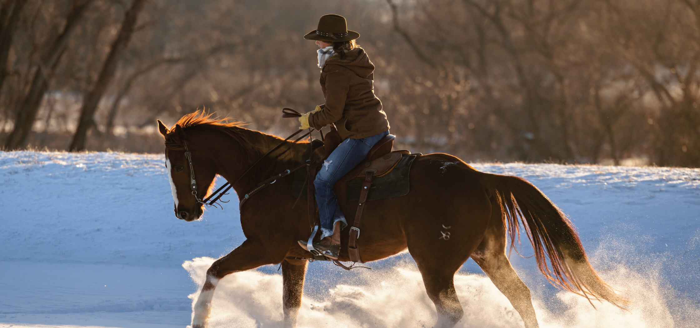 A woman rides her horse in the winter after managing Osteoarthritis for horses.