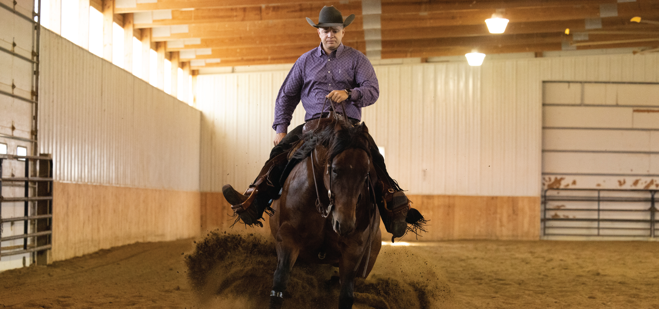 A man rides a retired show horse. 