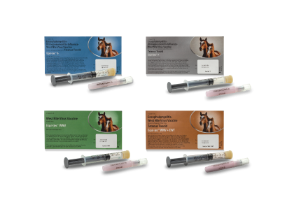 Equijec product shot used for vaccines in equine health.
