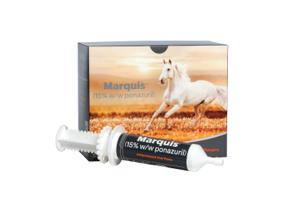 Marquis product shot used for neurological health issues in equine.