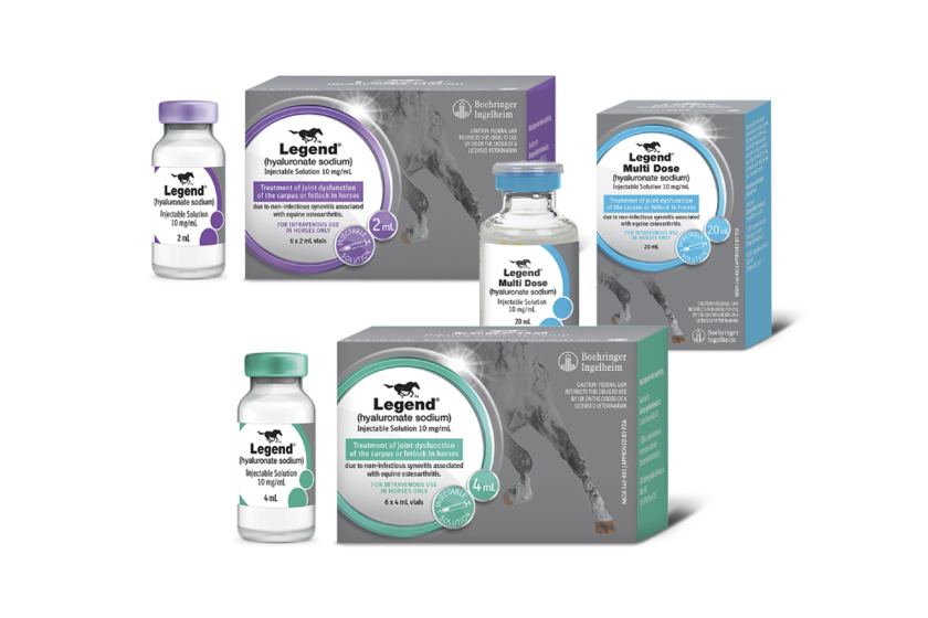 Legend product packaging