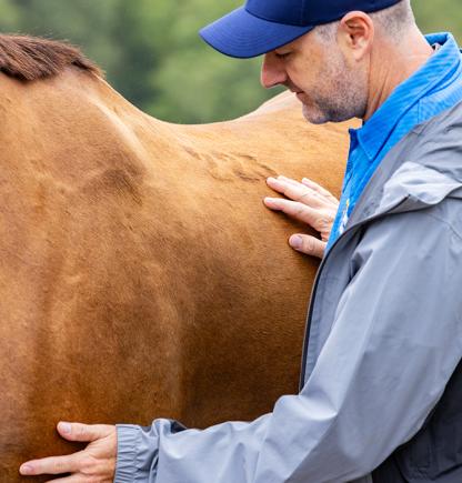 veterinarian caring for a horse to symbolize horse health