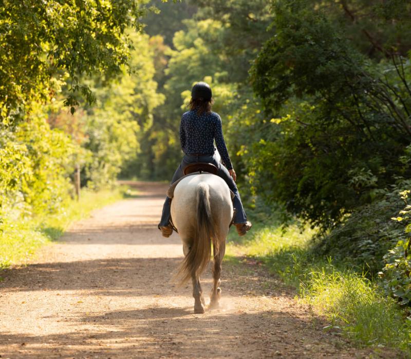 Long shot of a women riding a white horse down a path with tress on both sides