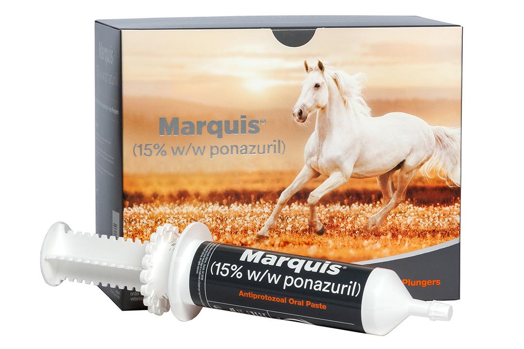 Product description of MARQUIS