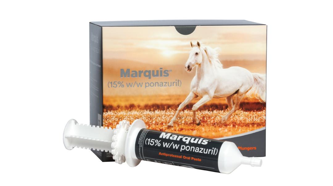 Marquis ponazuril oral paste with packaging featuring a white horse running in a golden field.