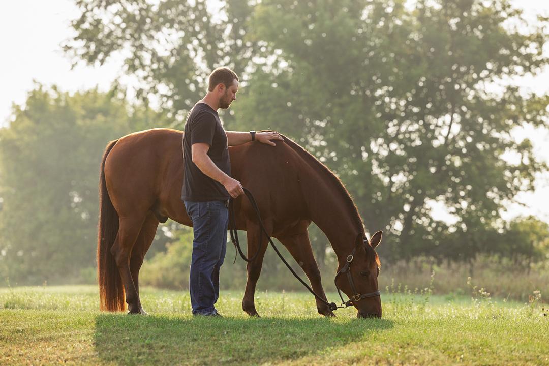 Man standing beside a chestnut horse grazing in a sunlit field with trees in the background.