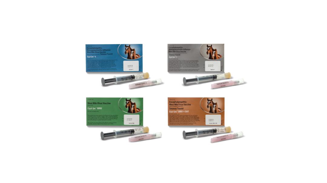 Equi-Jec vaccine range for horses, including syringes and packaging for various health needs.