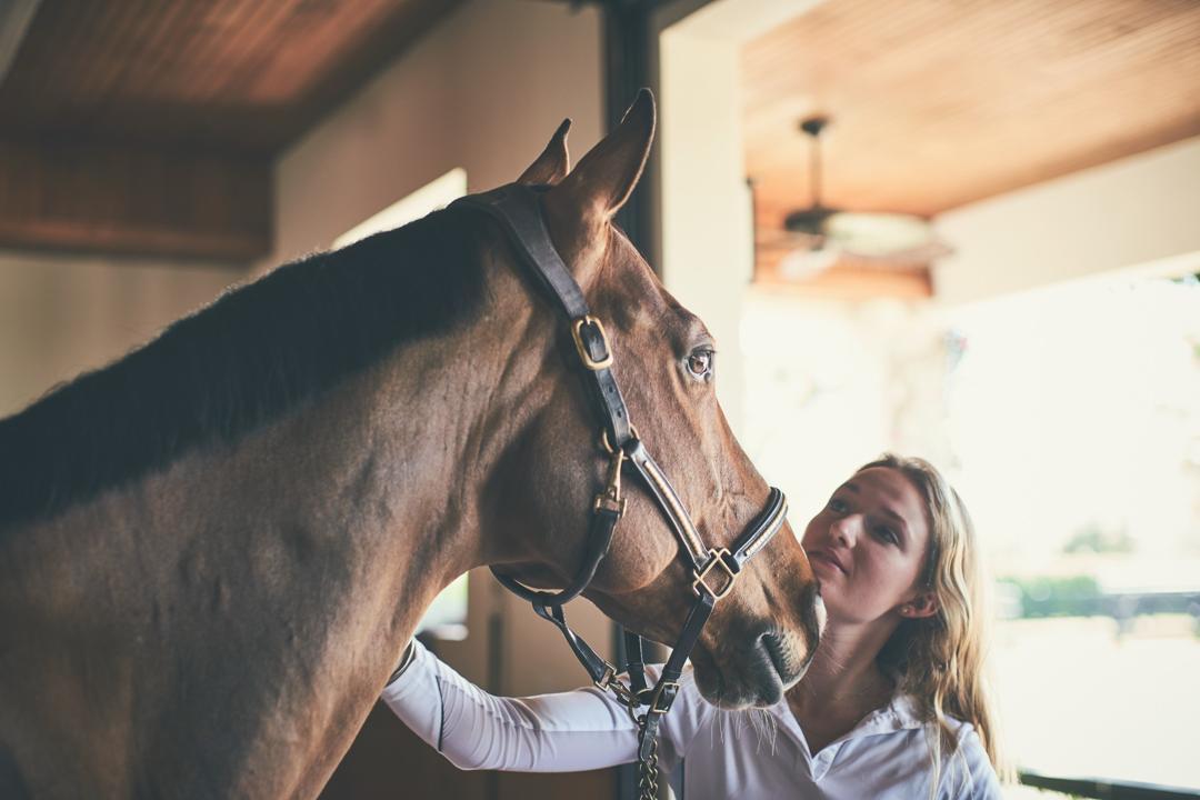 Veterinarian standing with horse in a barn to represent horse health education