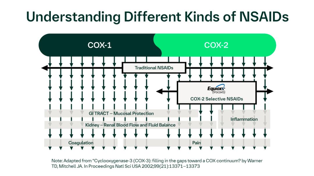 Understanding different kinds of NSAIDs infographic